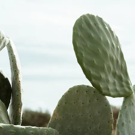 Kyma Paros Sunset Luxe