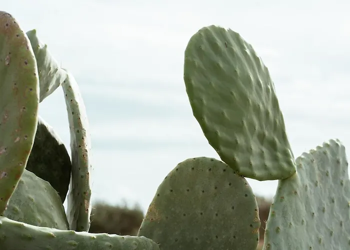 Kyma Paros Sunset Luxe